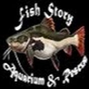 Fish Story, a DIY Public Aquarium & Fish Rescue