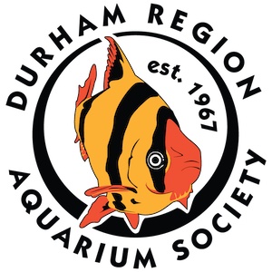 Durham Region Aquarium Society