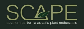 Southern CA Aquatic Plants Enthusiasts (SCAPE)