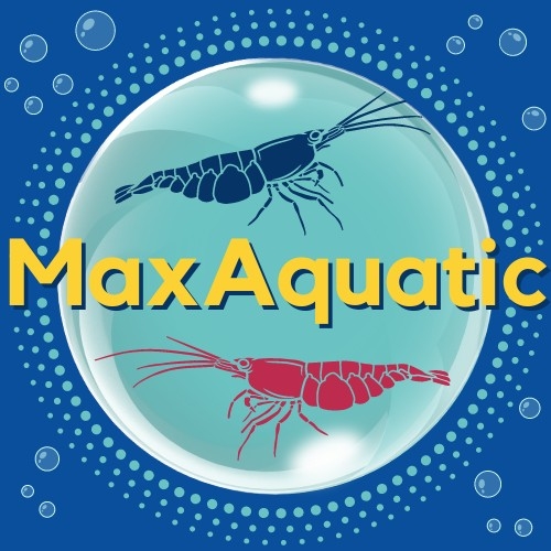 Max Aquatic