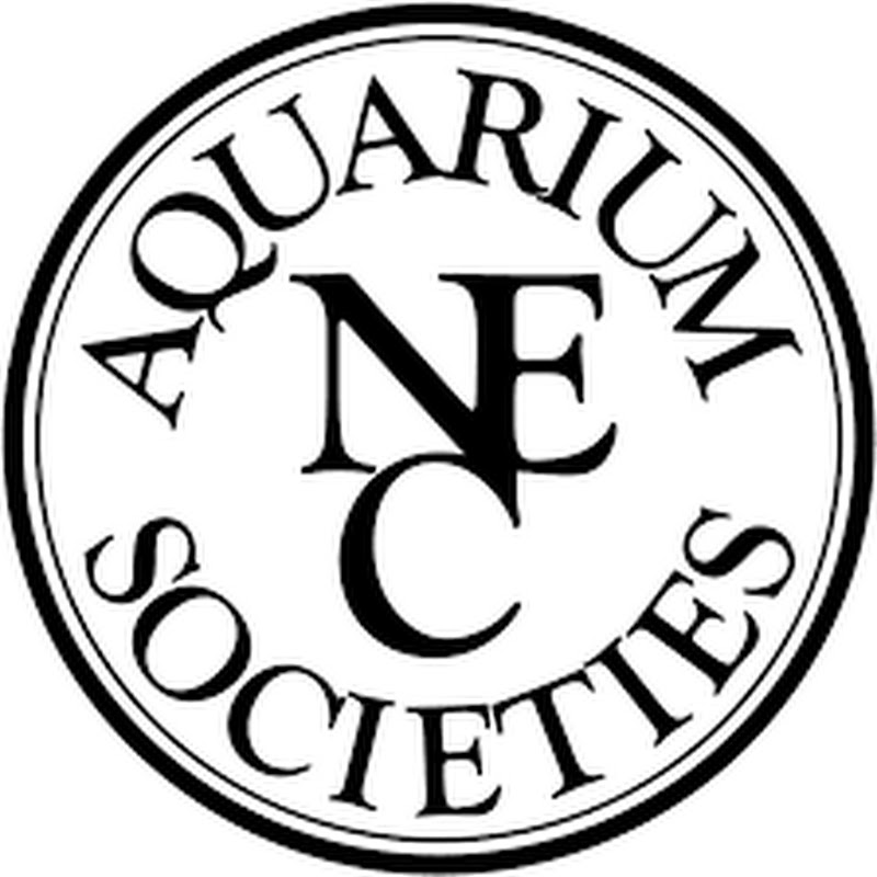 Northeast Council of Aquarium Societies