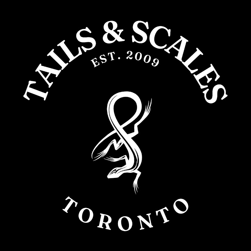 Tails & Scales