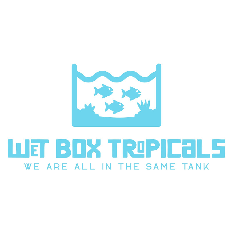 Wet Box Tropicals 