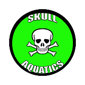 Skull Aquatics