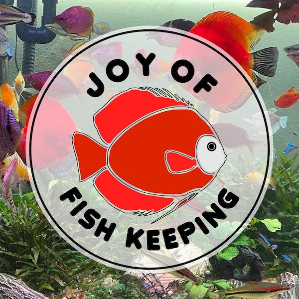 JOY OF FISH KEEPING
