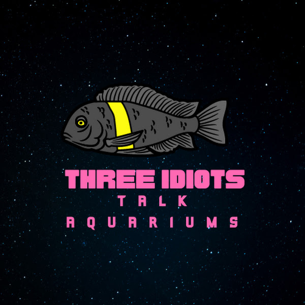 Three Idiots Talk Aquariums