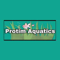 Protim Aquatics