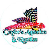 CAYLOR REPTILES & AQUATICS