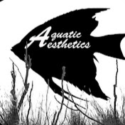 Aquatic Aesthetics