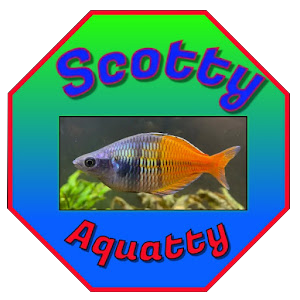 Scotty Aquatty