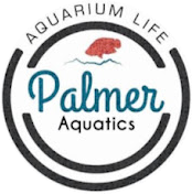Palmer Aquatics
