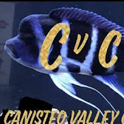 Canisteo Valley Cichlids