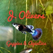 J. Olivers Guppies & Aquatics