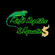 Misfit Reptiles & Aquatics