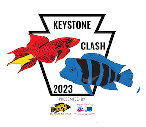 Keystone Clash 2022