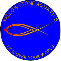 Yellowstone Aquatics