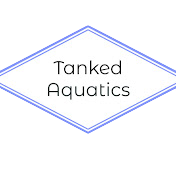 Tanked Aquatics