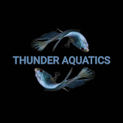 Thunder Aquatics