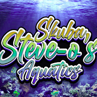 Skuba Steve-o’s Aquatics