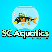 SC Aquatics