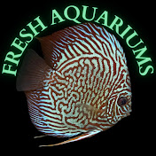 Fresh Aquariums