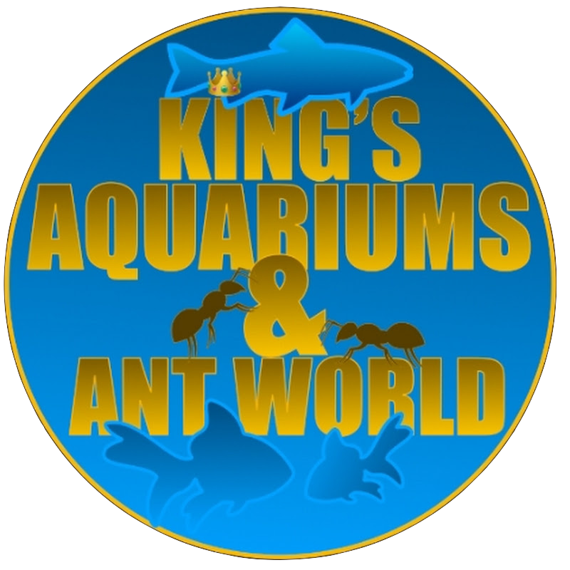 King's Aquariums And Ant World