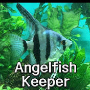 Angelfish Keeper