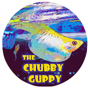 The Chubby Guppy