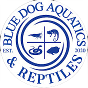 Blue Dog Aquatics