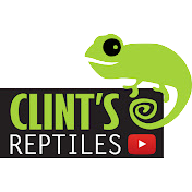 Clint's Reptiles
