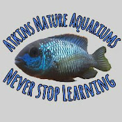 Atkins Nature Aquariums