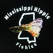 Mississippi Hippie Fishies