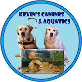 Kevin's Canines & Aquatics