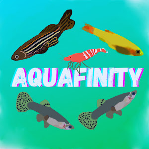 Aquafinity