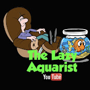 The Lazy Aquarist
