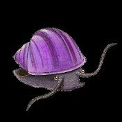 Lav's Snails