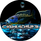 Cichlids23