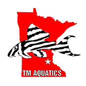 TM Aquatics