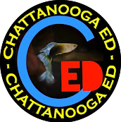 Chattanooga Ed