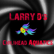 Larry D's Chilihead Aquatics