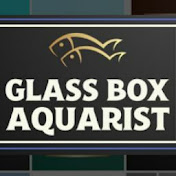 Glass Box Aquarist