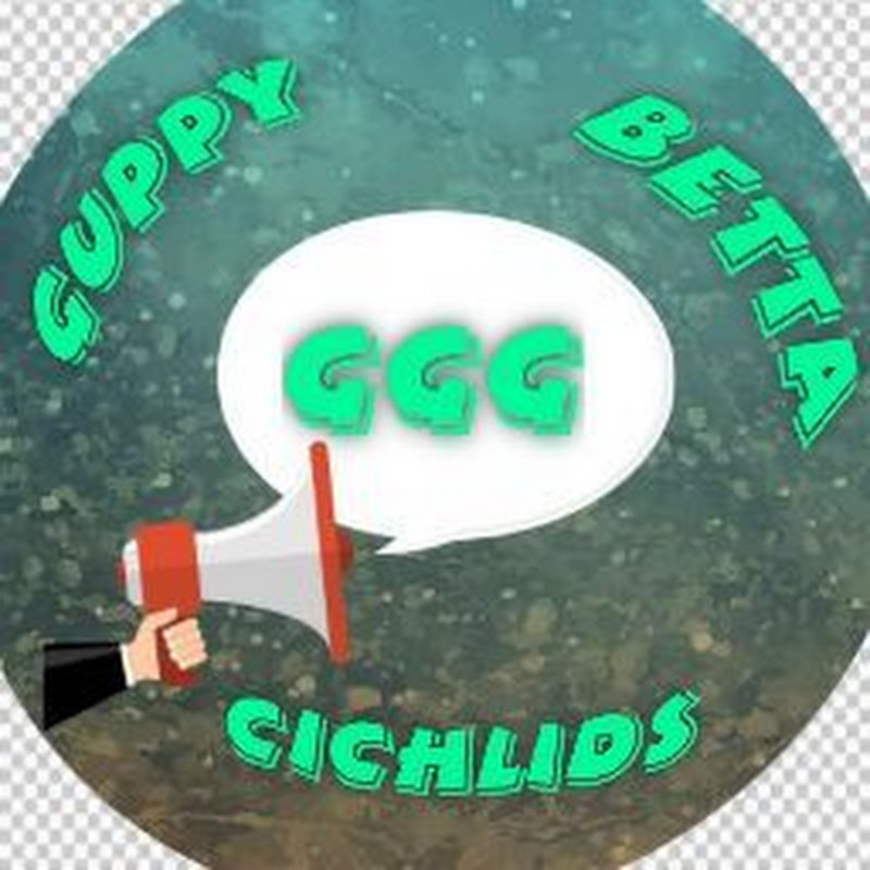 3G