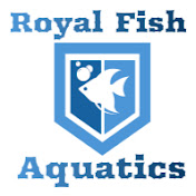 Royal Fish Aquatics