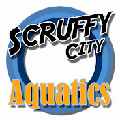 Scruffy City Aquatics