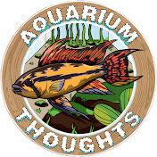 Dave's Aquarium Thoughts