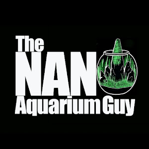 The Nano Aquarium Guy