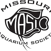 MASI - Missouri Aquarium Society