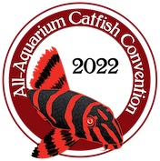 All-Aquarium Catfish Convention 2022