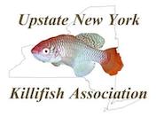 Upstate New York Killifish Association (UNYKA) Swap