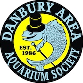 Danbury Area Aquarium Society Outdoor Swap 2022